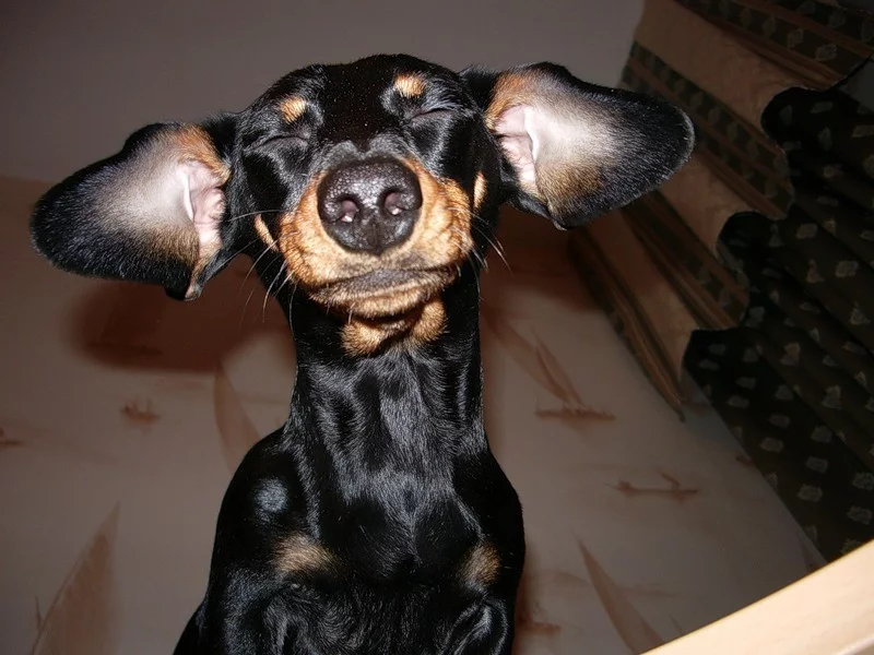 0_5f12_52188cf3_xl.webp