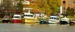 0_80d2c_ca59a254_S.webp