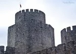0_80d2e_19b98e47_S.webp