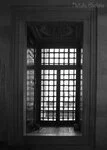 0_80d41_4865d4b7_S.webp
