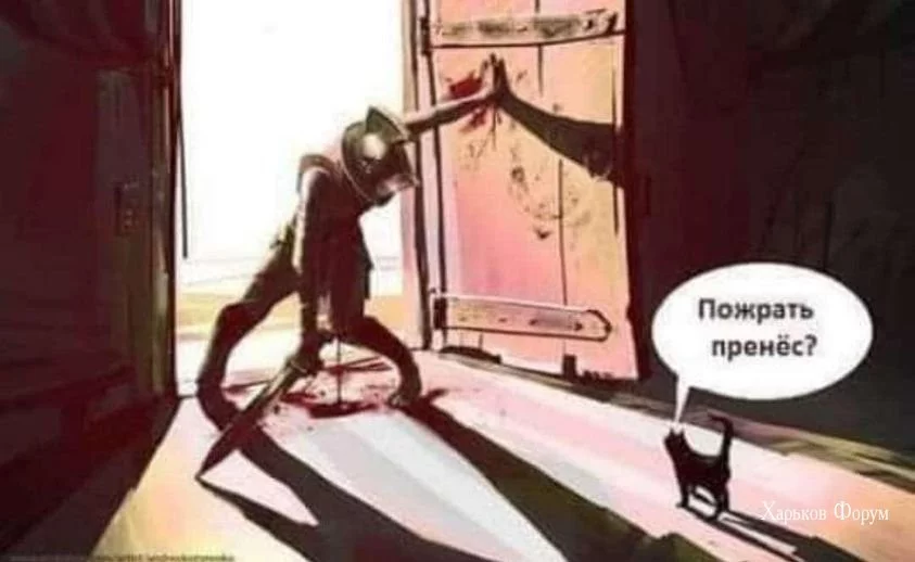 0a005cc713a0ac8bce37.webp
