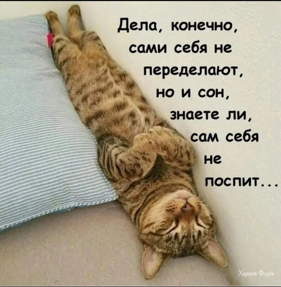 0a03e6f0173d586663489d.webp