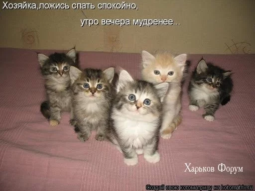 0a0b4c96595ce1bbd42815.webp