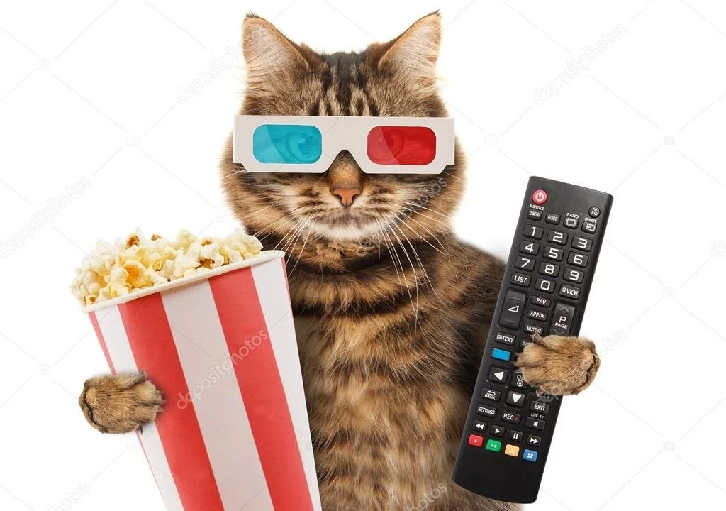 0a0e63c7bd1a2927ff.webp