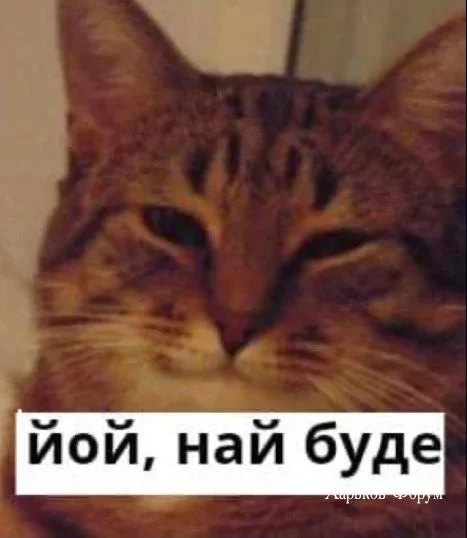 0a17404fd0337cb7daa.webp