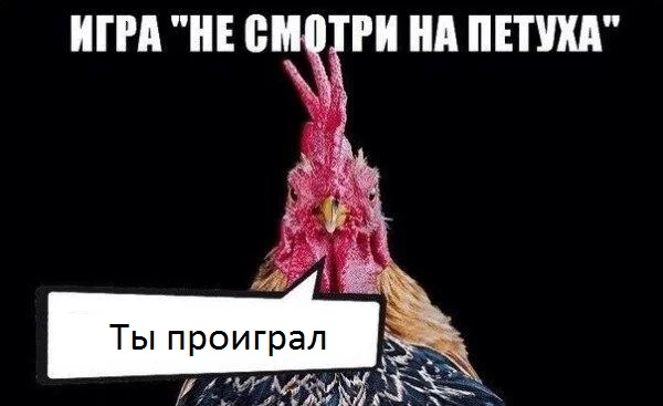 0a2990dbe5f03e35c518182ab2331374.webp