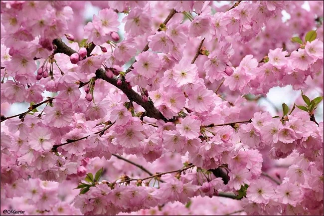 0a351021c043b5d5cb784dd145aaee9e.webp