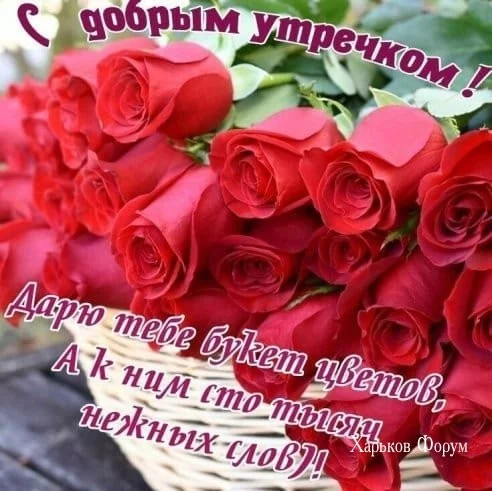 0a3fa495aa45273ac2ca1.webp