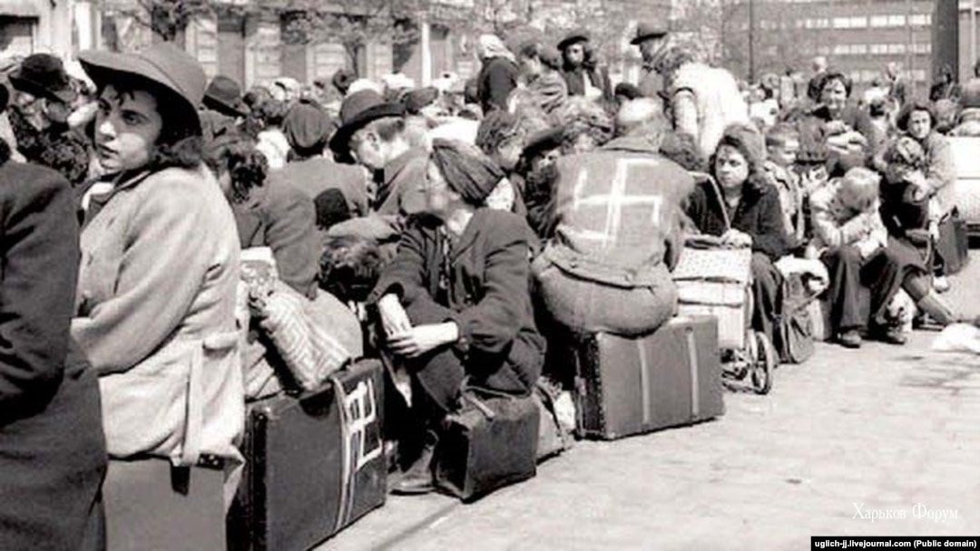 0a400ad53415be1941a7.jpg