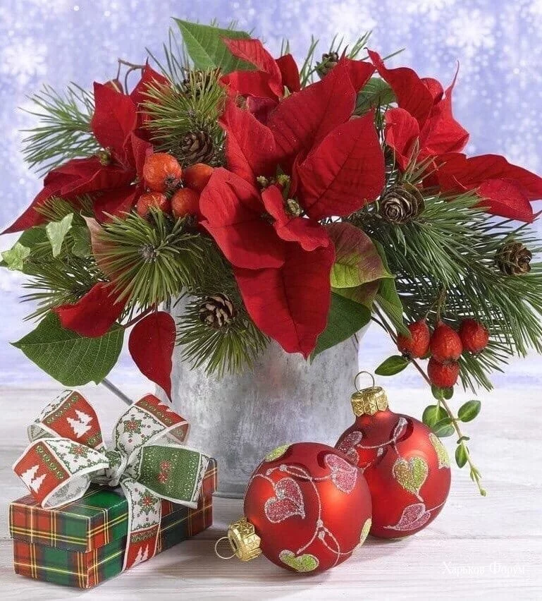 0a47f13ae15527b934bce76.webp