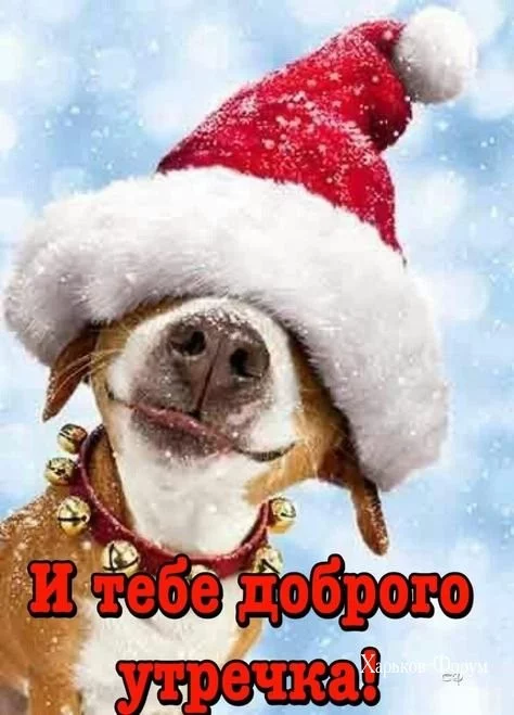 0a60a2228b035b92d1ce6a.webp