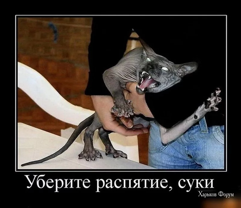0aa2ffc7d0af84f1e3fe3a.webp