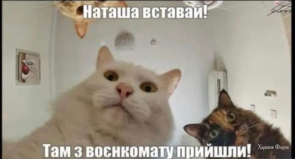 0aad67aae79eb364f2c534bf.jpg