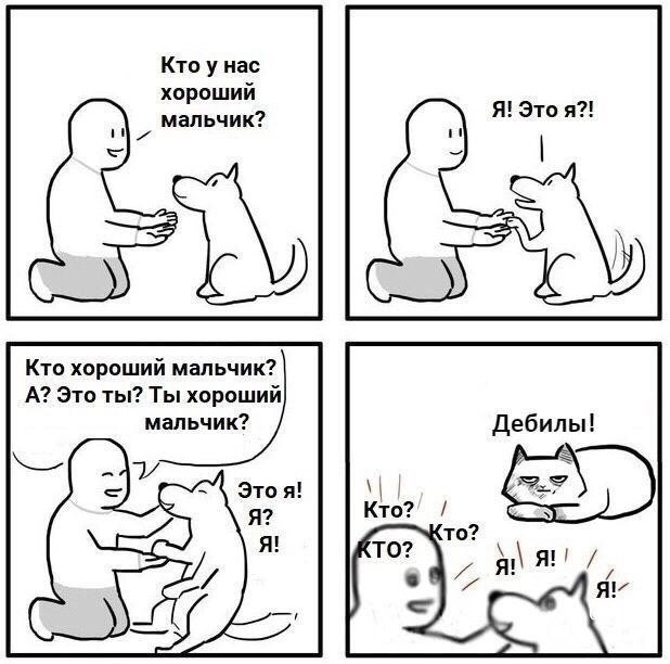 0ab3ae2e1115e94dd31c355.jpg