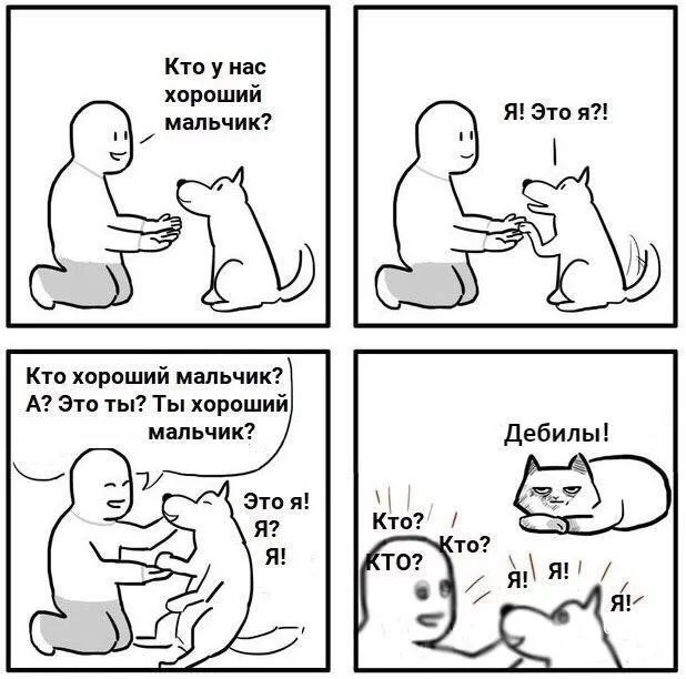 0ab3ae2e1115e94dd31c355.webp