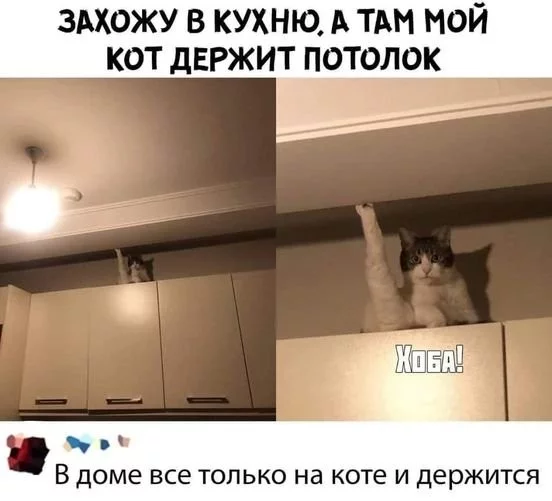 0abcdf2be640029ea5a811.webp