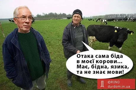 0abd5073a55e9a79eaa85a0262363d48.webp