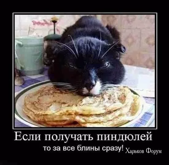 0ac2f540a673886a5.webp