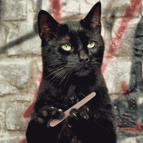 0ad5ff0d-ddbc-429f-87ed-f9c7151ebfbc.gif