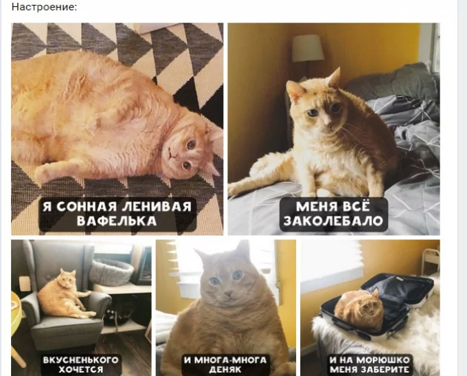 0add7f3bf74f73eca9a3591d711598d1.webp