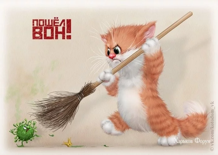 0ae1b73a04399c8d0c2.webp