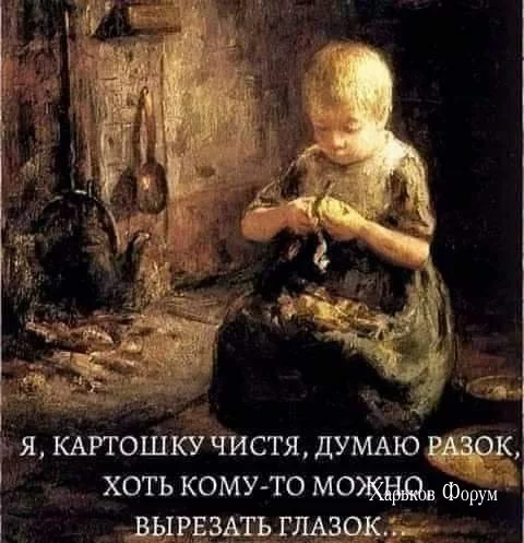 0af220b5213a364a8971.webp