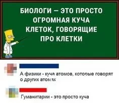 0af623b69617447265.webp
