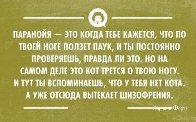 0af6dc0d13f95f99f8e0c.webp