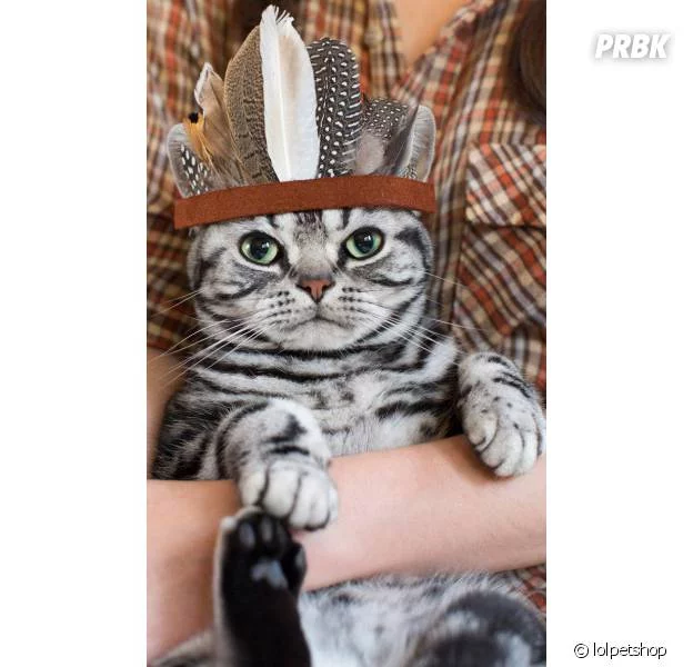 0agfgf.webp