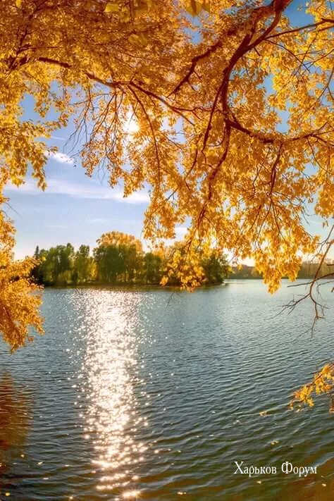 0b006bec7d55ceb66.webp