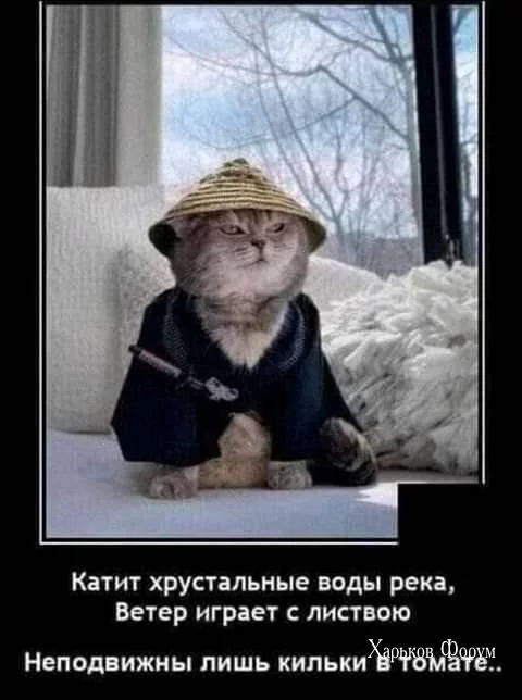 0b0158dcc1a1bf4bc15b1.webp