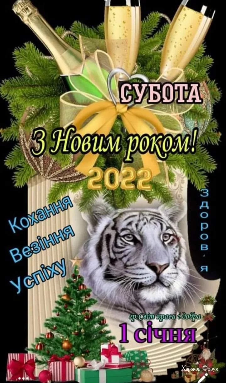 0b0ed2ae9c5b491c12.webp