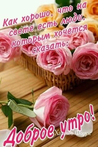 0b17f6417ed1f2fa8.webp