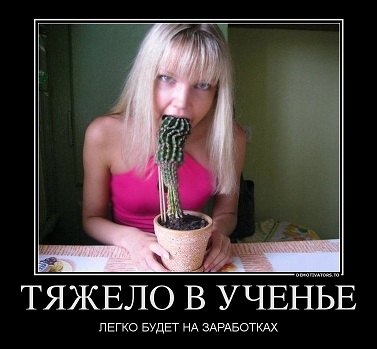 0b1c0572e2e7121cf76f27736a3b5ce9.jpg