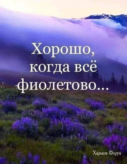 0b2f2f35b230197d8.jpg