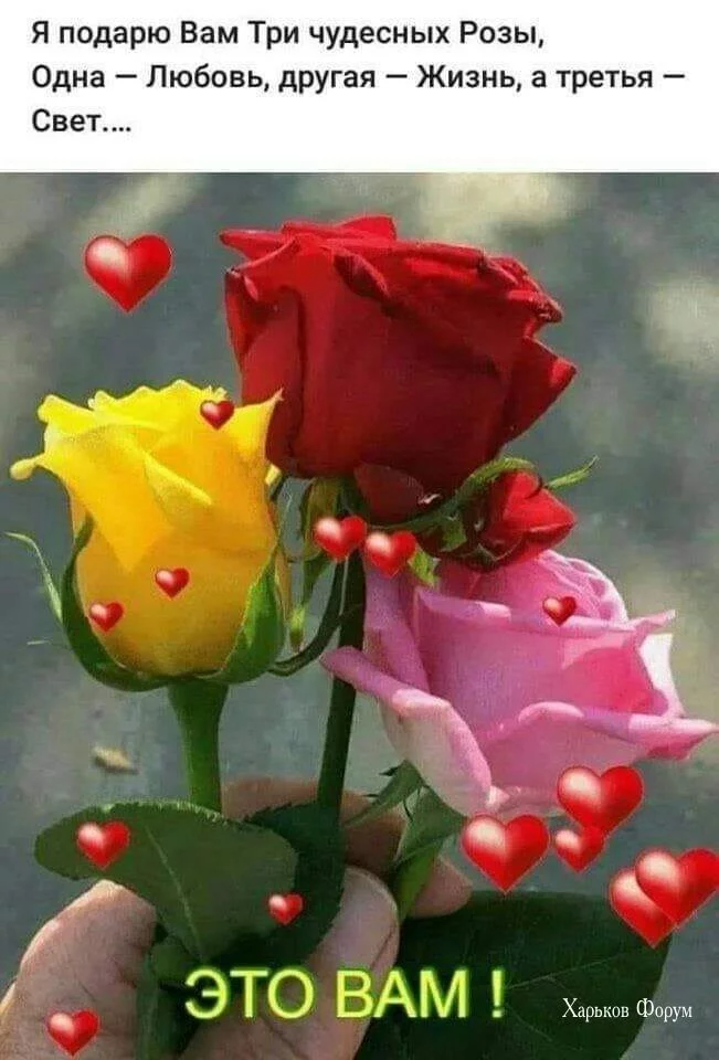 0b3801e216208a1e6da3a.webp
