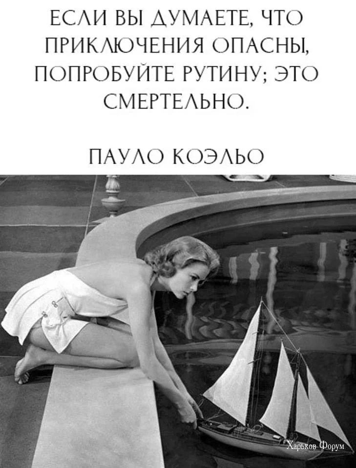 0b3bb271879dc1756140bb35.webp