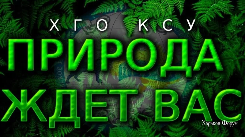 0b6108a5fc34d5cdc2d.webp