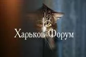 0b645a3578265b6a53.webp