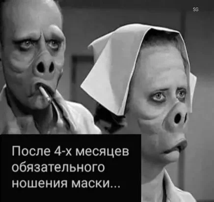 0b7bd28d0cf8b20eba8401af20f03525.webp