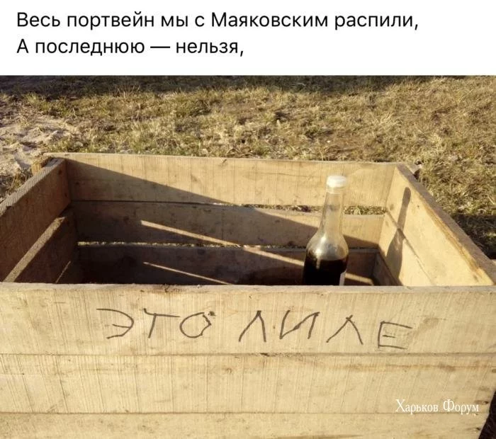 0b7e087f5a5afbcb.webp