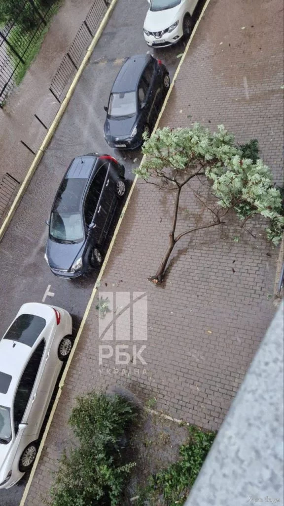 непогода в Киеве