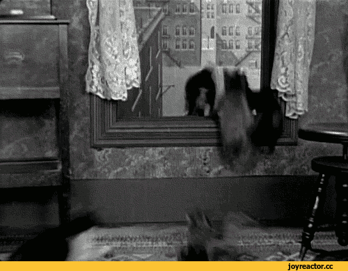 0B8D184D0BAD0B8D0BAD0BED182D18D1901969_yapfiles.ru.gif
