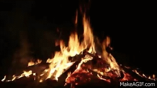 0b99455ba797432024.gif
