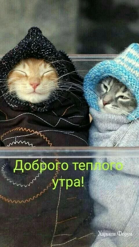 0b9d91b780c99876a9e45c.webp