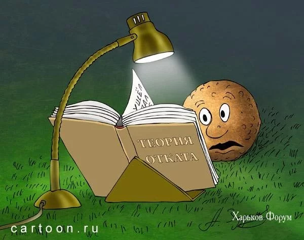 0baab94648f81c95.webp