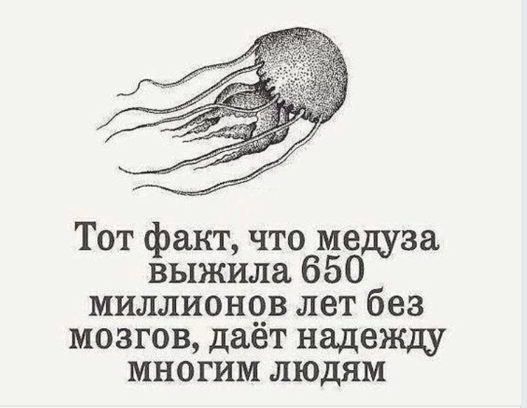 0bagej.webp
