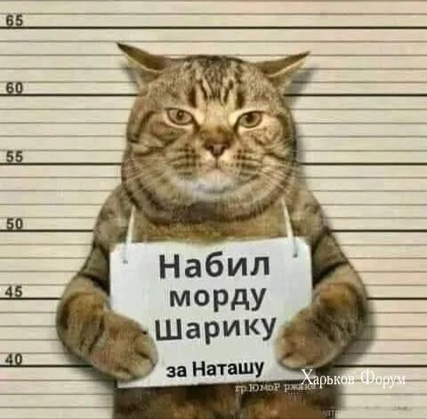 0bb2d36f8eb913d2b063711.webp