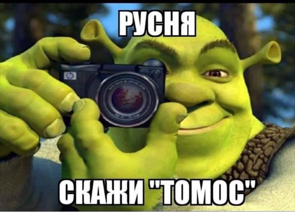 0bbadb.webp