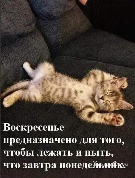0bf6c2bf6f0d80ea077.webp
